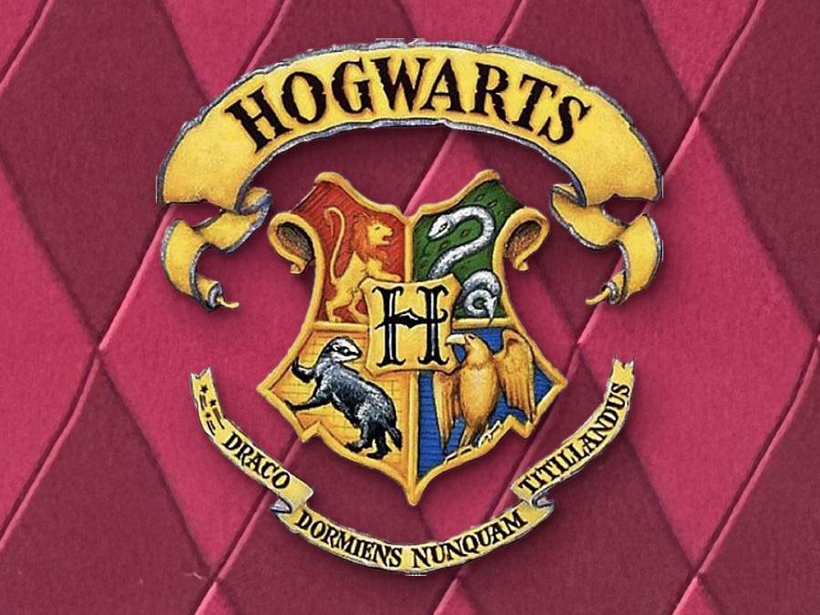 Close-up of the Hogwarts crest on the maroon diamond pattern of the Harry Potter catalog cover